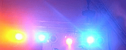 Grassrootz Festival, Tunbridge Wells UK (10 Jul 2004)