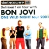 Bon Jovi One Wild Night Tour